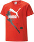 Puma T-Krekli X Miraculous Tee Red 538683 20 538683 20/176 цена и информация | Zēnu krekli | 220.lv