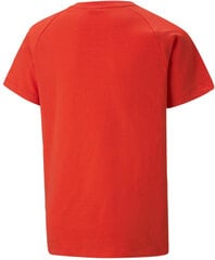 Футболка Puma X Miraculous Tee 538683 20/176, красная цена и информация | Рубашки для мальчиков | 220.lv