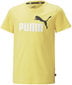 Puma T-Krekli Ess+ 2 Col Logo Tee Yellow 586985 45 586985 45/176 цена и информация | Zēnu krekli | 220.lv