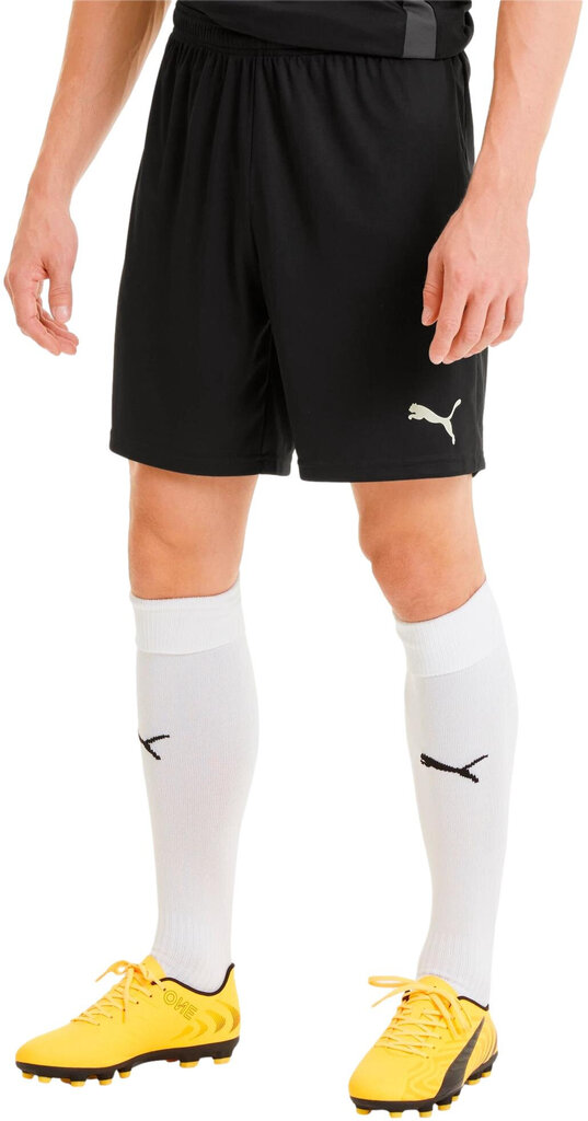 Puma Šorti TeamGoal 23 Knit Shorts Black 704262 03 704262 03/L cena un informācija | Futbola formas un citas preces | 220.lv