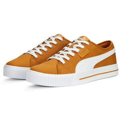 Мужские кроссовки Puma Ever Fs Cv Desert Clay Brown 386393 05/9.5, коричневые цена и информация | Кроссовки мужские | 220.lv