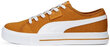 Puma Apavi Ever Fs Cv Desert Clay Brown 386393 05 386393 05/9.5 cena un informācija | Sporta apavi vīriešiem | 220.lv