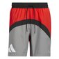 Adidas Šorti Galaxy Short Grey Red HE2902 HE2902/M cena un informācija | Vīriešu šorti | 220.lv