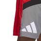 Adidas Šorti Galaxy Short Grey Red HE2902 HE2902/M cena un informācija | Vīriešu šorti | 220.lv