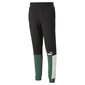 Puma Bikses Ess+ Block Sweatpants Black White Green 848007 37 цена и информация | Sporta apģērbs vīriešiem | 220.lv