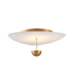 Italux griestu lampa Geneo PLF-2042-1W цена и информация | Потолочные светильники | 220.lv