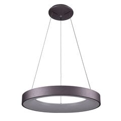 Italux piekaramā lampa Giulia 5304-850RP-CO-3 цена и информация | Люстры | 220.lv