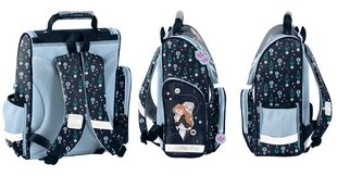Рюкзак для первоклашек Paso Ледяная страна (Frozen) DF23LL-525, синий цена и информация | Школьные рюкзаки, спортивные сумки | 220.lv