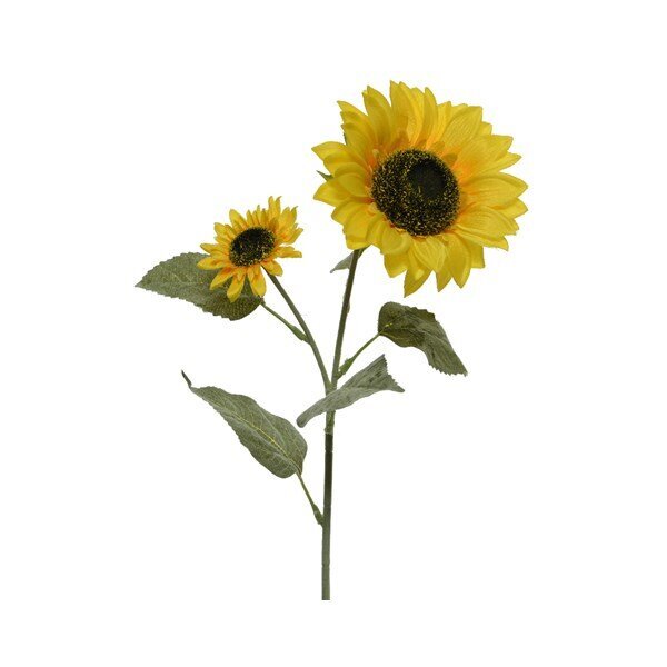 Buķetes Everlands 10 x 15 x 72 cm Saulespuķe cena un informācija | Mākslīgie ziedi | 220.lv