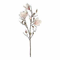 Buķetes Mica Decorations Magnolia (88 cm) cena un informācija | Mākslīgie ziedi | 220.lv