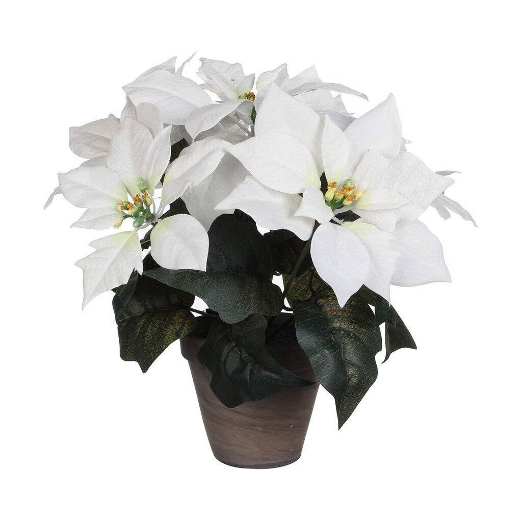 Dekoratīvs Augs Balts PVC (27 X 35 CM) cena un informācija | Mākslīgie ziedi | 220.lv