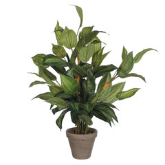 Декоративное растение Mica Decorations Hosta Зеленый PVC (15,5 x 65 cm) цена и информация | Искусственные цветы | 220.lv