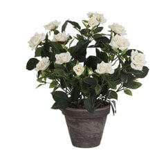 Dekoratīvs Augs Mica Decorations Rosal Keramika PVC cena un informācija | Mākslīgie ziedi | 220.lv