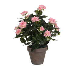 Декоративное растение Mica Decorations Rosal Керамика PVC цена и информация | Искусственные цветы | 220.lv