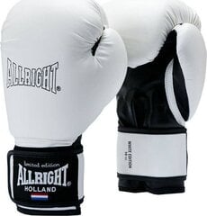 Боксерские перчатки ALLRIGHT 8oz, белые цена и информация | Боевые искусства | 220.lv