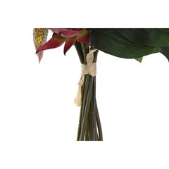 Dekoratīvs Augs DKD Home Decor (20 x 20 x 34 cm) (2 gb.) cena un informācija | Mākslīgie ziedi | 220.lv