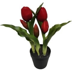 Sarkanās tulpes podā, 23 cm cena un informācija | Mākslīgie ziedi | 220.lv