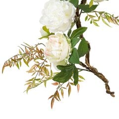 Dekoratīvs Augs 160 x 30 x 24 cm Balts Peonija cena un informācija | Mākslīgie ziedi | 220.lv