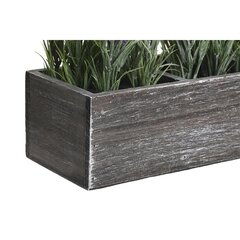 Декоративное растение DKD Home Decor, 32 x 14 x 19,5 см, лиловое/зеленое, 2 шт. цена и информация | Искусственные цветы | 220.lv