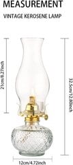 Amanigo iekštelpu petrolejas lampa, eļļas lampa, 30 cm, sudrabs cena un informācija | Sveces un svečturi | 220.lv