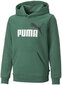 Puma Džemperi Ess + 2 Col Big Logo Green 586987 37 586987 37/176 cena un informācija | Zēnu jakas, džemperi, žaketes, vestes | 220.lv