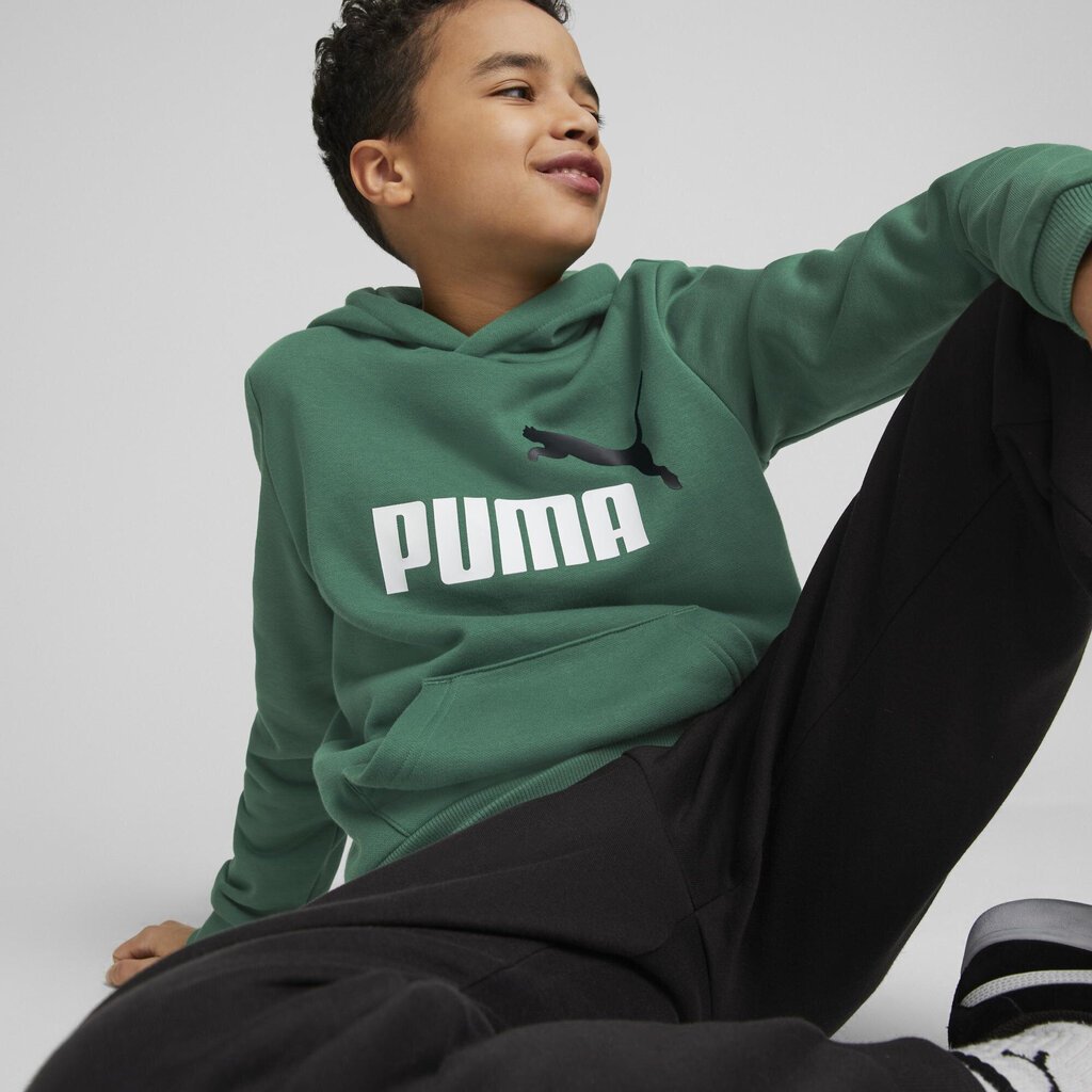 Puma Džemperi Ess + 2 Col Big Logo Green 586987 37 586987 37/176 cena un informācija | Zēnu jakas, džemperi, žaketes, vestes | 220.lv