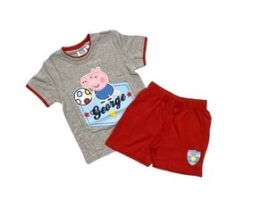 Комплект для мальчиков Peppa pig цена и информация | Рубашки для мальчиков | 220.lv