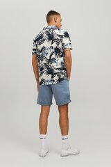 Шорты чинос JACK &amp; JONES 12165604FLINTSTONE-M цена и информация | Мужские шорты | 220.lv