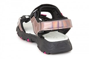 Bērnu sandales CLIBEE 360264037715 cena un informācija | Bērnu sandales | 220.lv