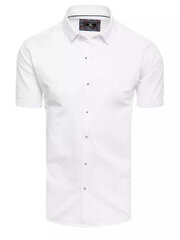 Мужская рубашка с длинным рукавом, белая цена и информация | Мужские рубашки | 220.lv
