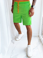 Мужские плавательные шорты, зеленые цена и информация | Плавки, плавательные шорты | 220.lv