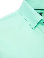 Vīriešu zaļš krekls Horan KX0993-51093-XXL cena un informācija | Vīriešu krekli | 220.lv