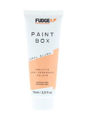 Полустойкая краска для волос Fudge Paintbox Creative Semi-Permanent Colour Coral Blush, 75 мл цена и информация | Краска для волос | 220.lv