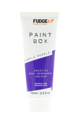 Полустойкая краска для волос Fudge Paintbox Creative Semi-Permanent Colour Purple People, 75 мл цена и информация | Краска для волос | 220.lv