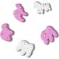 Crocs™ Crocs ANIMAL COOKIES 5 PACK G1033000-MU 245919 cena un informācija | Bērnu aksesuāri | 220.lv