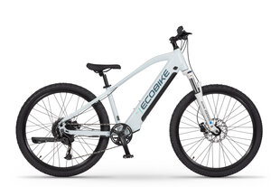 Elektriskais velosipēds Ecobike SX Youth White 14", 2023, balts cena un informācija | Elektrovelosipēdi | 220.lv