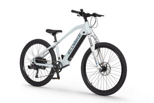 Elektriskais velosipēds Ecobike SX Youth White 14", 2023, balts cena un informācija | Elektrovelosipēdi | 220.lv