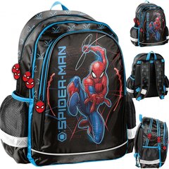 Skolas mugursoma Paso Spider-man, SP23PA-081 цена и информация | Школьные рюкзаки, спортивные сумки | 220.lv