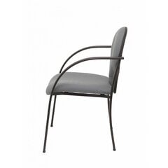 2 krēslu komplekts Hellin Piqueras y Crespo, pelēks цена и информация | Офисные кресла | 220.lv