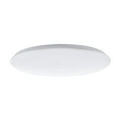 Eglo griestu lampa Ean цена и информация | Потолочные светильники | 220.lv
