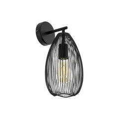 Настенный светильник Eglo Clevedon цена и информация | Настенные светильники | 220.lv