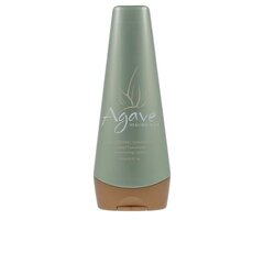 Шампунь Agave Healing Oil 250 ml цена и информация | Шампуни | 220.lv