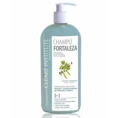 Šampūns pret matu izkrišanu Clearé Institute, 400 ml cena un informācija | Šampūni | 220.lv