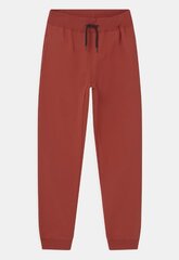 Спортивные штаны для детей Name It Nkmsweat Pant Bru Noos 13153665 цена и информация | Штаны для мальчиков | 220.lv