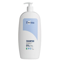 Maigs matu šampūns Derma Family Shampoo, 1000 ml cena un informācija | Šampūni | 220.lv