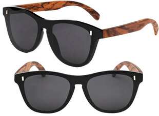 Polarizētas saulesbrilles vīriešiem C50 cena un informācija | Saulesbrilles  vīriešiem | 220.lv