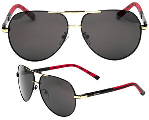 Поляризованные солнцезащитные очки для мужчин S40 цена и информация | Солнцезащитные очки для мужчин | 220.lv