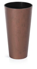 Цветочный горшок Prosperplast Tubus Slim Corten DTUS300C-7601U, ржавая сталь цена и информация | Вазоны | 220.lv