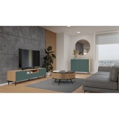 TV galdiņš Top E Shop Kama, zaļš cena un informācija | TV galdiņi | 220.lv