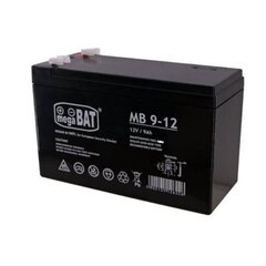 Аккумулятор для детского электромобиля 12V 9AH. цена и информация | Аккумуляторы | 220.lv